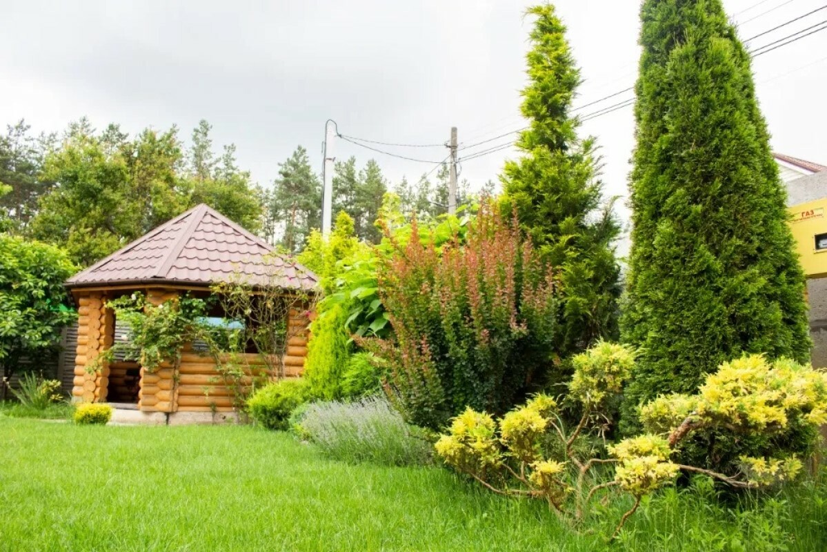 https://rostov-na-donu.tgv-stroy.ru/storage/app/uploads/public/637/ef4/fb3/637ef4fb3605f391429275.png